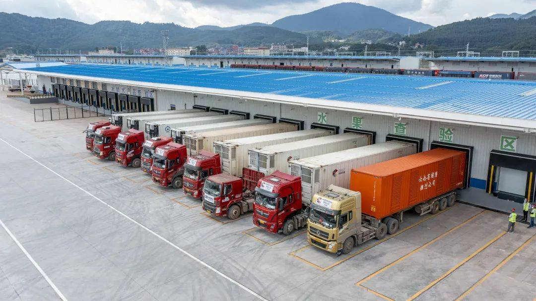 中老铁路磨憨口岸物流装卸系统顺利通过验收